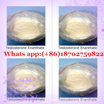 2016 High Quality Test Enan Steroids Testosterone Enanthate with Factory Sales